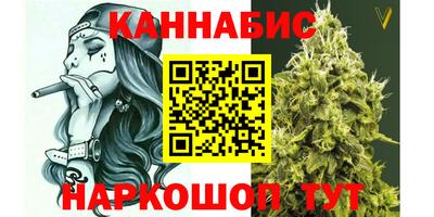 сатива Будённовск