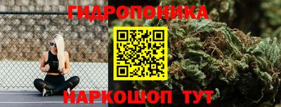 сатива Будённовск