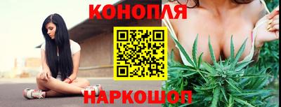 сатива Будённовск