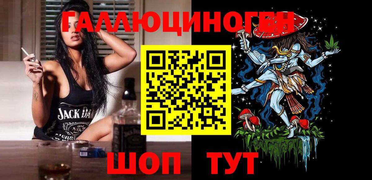 Галлюциногенные грибы Psilocybe Сатка